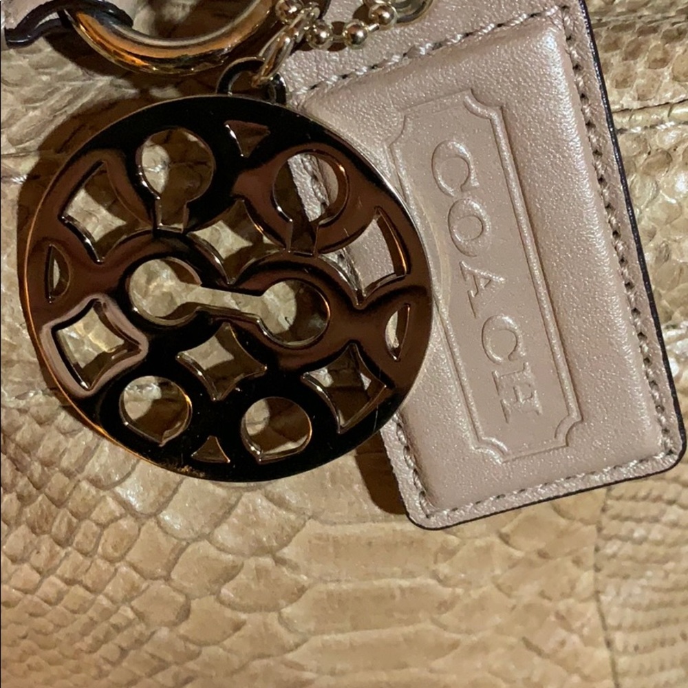 Coach Python Leather Bag - Picture 3 of 7